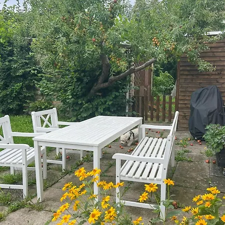 Apartment Flat With Garden And Bright *