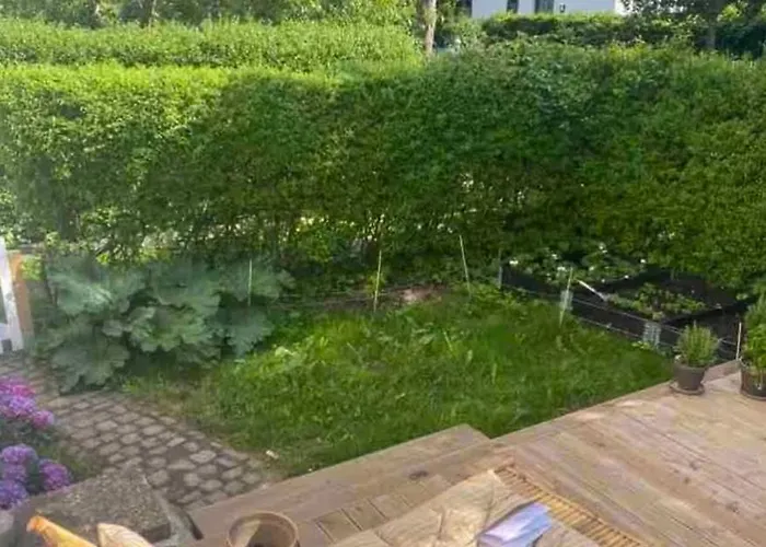 Flat With Garden And Bright *